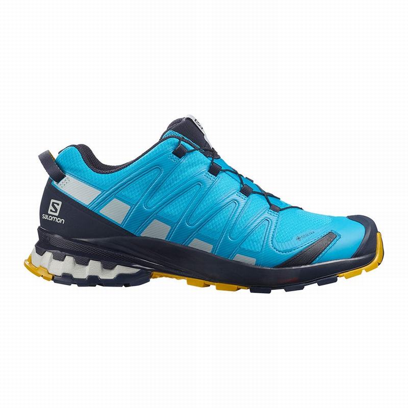 Zapatillas Trail Running Salomon Hombre Azules - Salomon Argentina XA PRO 3D V8 GORE-TEX ,270419-OTQ